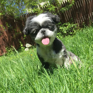 Meet your Posher, Victoria